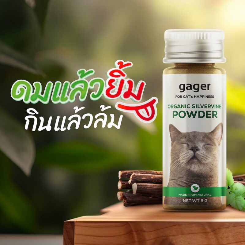 CatHoliday กาเจอร์ แคทนิปแบบผง Gager  แคทนิปแบบผงสำหรับแมว ไม้มาทาทาบิ ออร์แกนิก พลังช้าง ช่วยให้แมวผ่อนคลาย - Image 5