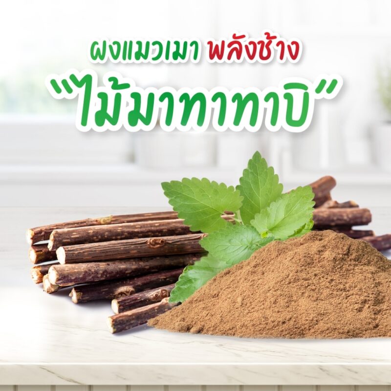 CatHoliday กาเจอร์ แคทนิปแบบผง Gager  แคทนิปแบบผงสำหรับแมว ไม้มาทาทาบิ ออร์แกนิก พลังช้าง ช่วยให้แมวผ่อนคลาย - Image 2
