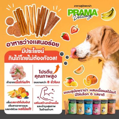 Alternative view of CatHoliday PRAMA Delicacy Snack พราม่า เดลิคาซี่ สแน็ค ขนมสุนัข เนื้อไก่ โปรตีนสูง