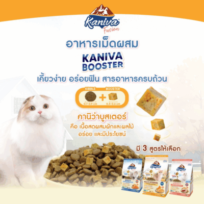 Alternative view of [6 kg] 3สูตรใหม่! Kaniva Fusion อาหารแมว คานิว่า ฟิวชั่น อาหารเม็ดเกรดพรีเมี่ยม ผสมผสาน 3P Biotic ที่ดีต่อระบบลำไส้