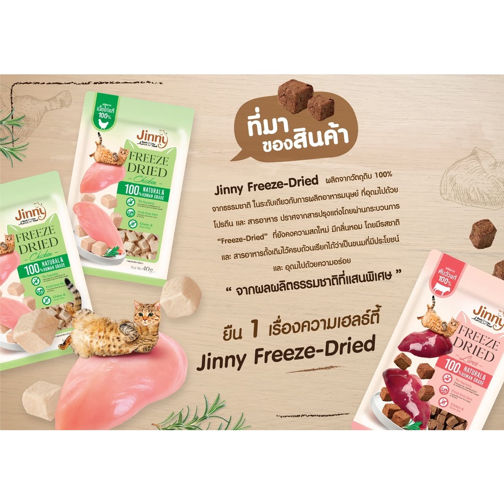 CatHoliday จินนี่ ฟรีซดราย Jinny Freeze-Dried ขนมแมว อาหารแมว ขนมสัตว์เลี้ยง - Image 8