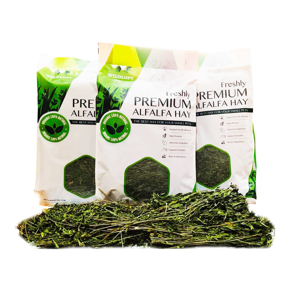 CatHoliday หญ้าอัลฟาฟ่า หญ้าทิโมธี Wildloft เกรดพรีเมียม ขนาด 510 กรัม หญ้ากระต่าย - Image 9