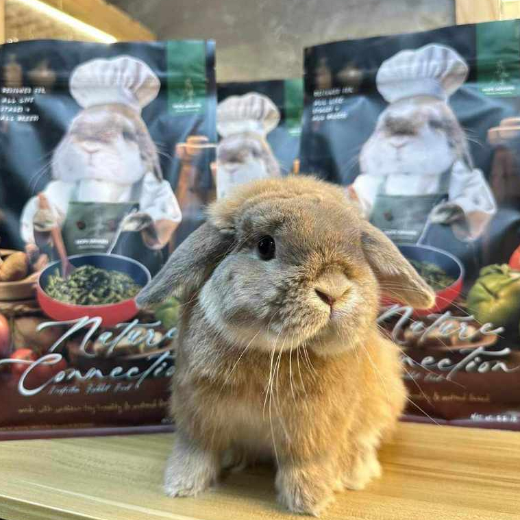 CatHoliday โฮ๊ป อาฮาล Hope Arharn อาหารกระต่าย 1 กิโลกรัม อาหารกระต่ายสำหรับทุกวัย - Image 9