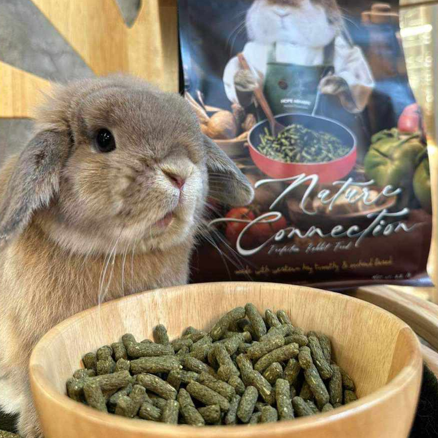 CatHoliday โฮ๊ป อาฮาล Hope Arharn อาหารกระต่าย 1 กิโลกรัม อาหารกระต่ายสำหรับทุกวัย - Image 7