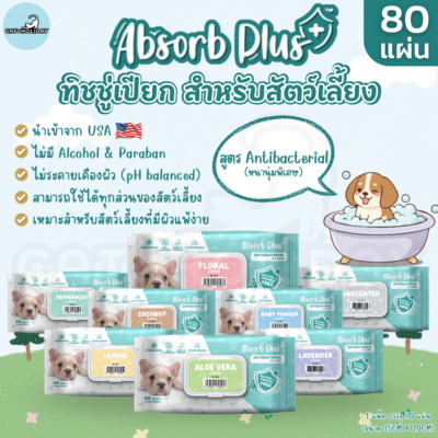 [ 1แพ็ค 80แผ่น ] Absorb Plus ทิชชู่เปียก ผ้าเปียกทำความสะอาด สัตว์เลี้ยง สูตร Antibacterial มาตรฐานอเมริกา ขนาด 15x20 cm