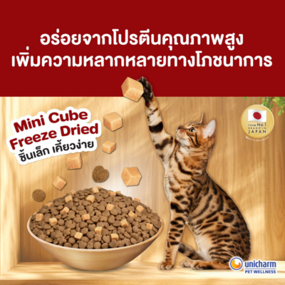 Alternative view of [ ถุง 1kg ] อาหารแมว Ginno Dry Food with Freeze-Dried Meat กินโนะ อาหารเม็ดแมว ผสม ฟรีซดรายจากเนื้อสัตว์แท้