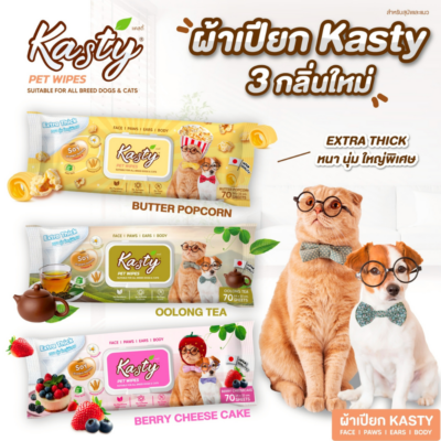 Alternative view of [ 1แพ็ค 70แผ่น ] Kasty Pet Wipes แคสตี้ ผ้าเปียกเช็ดทำความสะอาด ทิชชู่เปียก สำหรับสุนัขและแมว กลิ่นหอม หนา นุ่ม แผ่นใหญ่