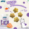 [ 50g ] ขนมแมว CAT n joy Crispy Bite Functional ขนมกรุบกรอบเสริมวิตามิน แค็ทเอ็นจอย คริสปี้ ไบท์ ขนมขัดฟันแมว อร่อยจากปลาแซลมอนทุกคำ - Image 4