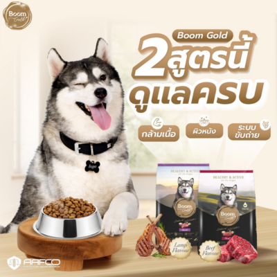 Alternative view of [ กระสอบ 10kg ] อาหารสุนัข Boom Gold บูมโกลด์ อาหารเม็ดสุนัข เกรดพรีเมียมจากเนื้อสัตว์แท้ เม็ดเล็ก เคี้ยวง่าย โปรตีนสูง ไขมันต่ำ