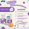 [ 50g ] ขนมแมว CAT n joy Crispy Bite Functional ขนมกรุบกรอบเสริมวิตามิน แค็ทเอ็นจอย คริสปี้ ไบท์ ขนมขัดฟันแมว อร่อยจากปลาแซลมอนทุกคำ - Image 10