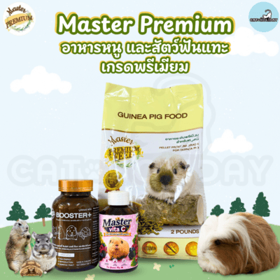อาหารหนู Master Guinea Pig Food มาสเตอร์ อาหารเม็ดพรีเมียม อาหารหนูแกสบี้ วิตามินหนูแกสบี้ หนูตะเภา หนูเควี่ และสัตว์ฟันแทะ