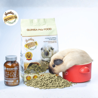 Alternative view of อาหารหนู Master Guinea Pig Food มาสเตอร์ อาหารเม็ดพรีเมียม อาหารหนูแกสบี้ วิตามินหนูแกสบี้ หนูตะเภา หนูเควี่ และสัตว์ฟันแทะ
