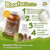 อาหารหนู Master Guinea Pig Food มาสเตอร์ อาหารเม็ดพรีเมียม อาหารหนูแกสบี้ วิตามินหนูแกสบี้ หนูตะเภา หนูเควี่ และสัตว์ฟันแทะ - Image 7