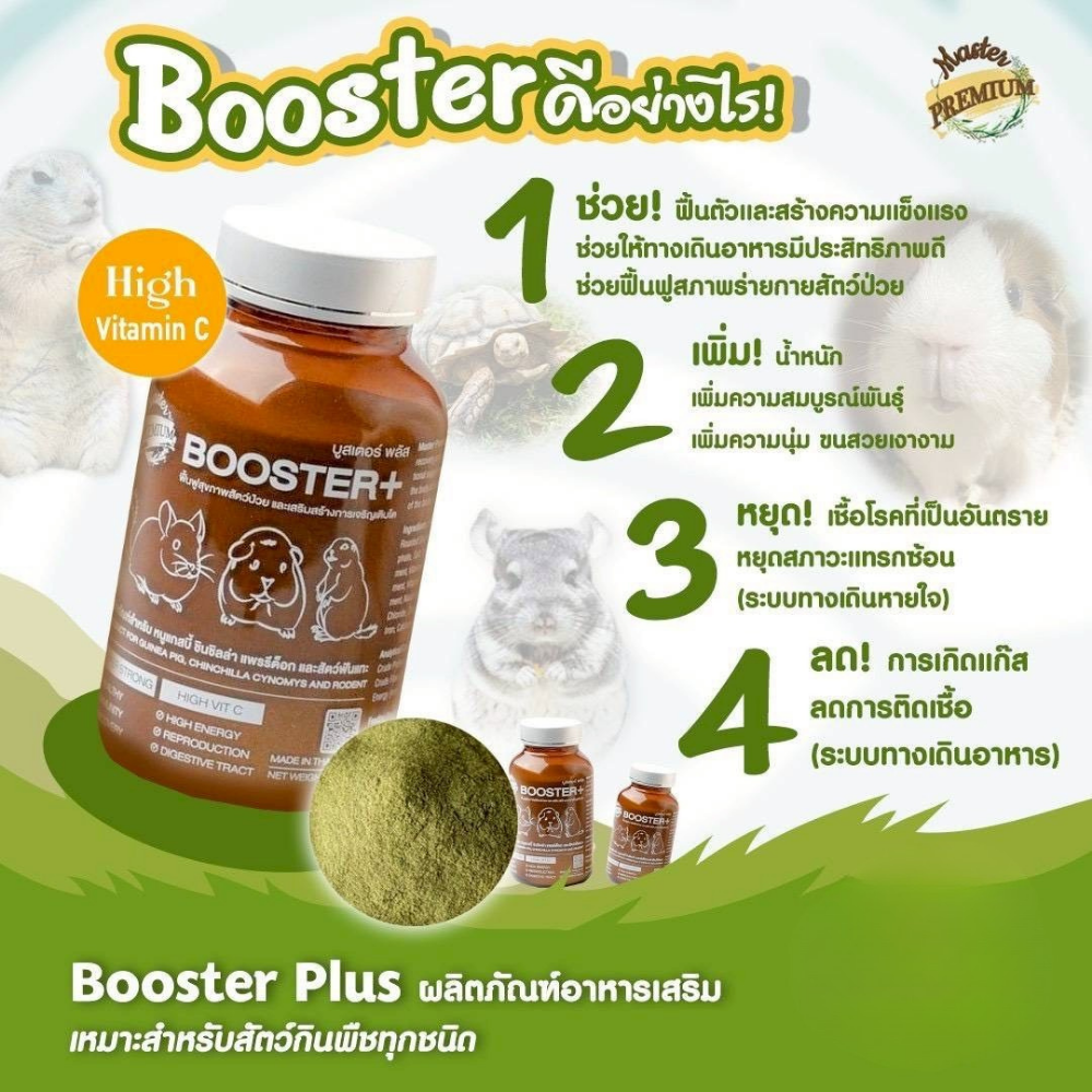 อาหารหนู Master Guinea Pig Food มาสเตอร์ อาหารเม็ดพรีเมียม อาหารหนูแกสบี้ วิตามินหนูแกสบี้ หนูตะเภา หนูเควี่ และสัตว์ฟันแทะ - Image 7
