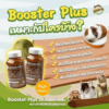 อาหารหนู Master Guinea Pig Food มาสเตอร์ อาหารเม็ดพรีเมียม อาหารหนูแกสบี้ วิตามินหนูแกสบี้ หนูตะเภา หนูเควี่ และสัตว์ฟันแทะ - Image 6
